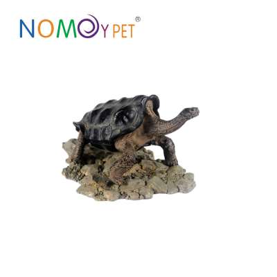 NOMOY Pet eco-friendly and in stock products of galapacos tortoise sculpture A8