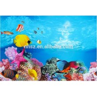 aquarium decoration plastic background with double side