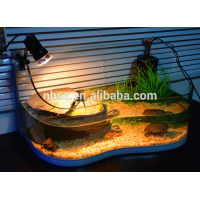 Three in one Reptile pet glass terrarium for tortoise