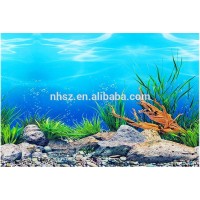 green Background Aquarium Ocean Landscape Poster Fish Tank Background